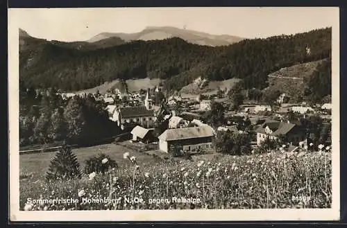 AK Hohenberg /N.-Oe., Teilansicht gegen Reisalpe