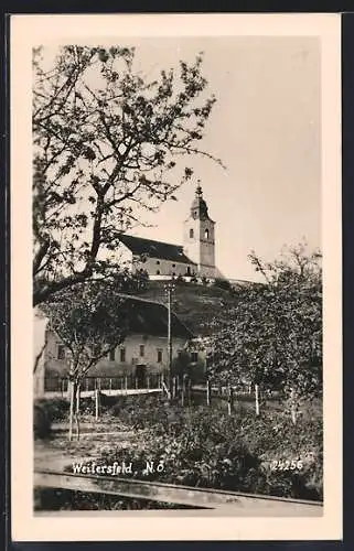 AK Weitersfeld /N. Ö., Teilansicht mit Kirche im Frühling