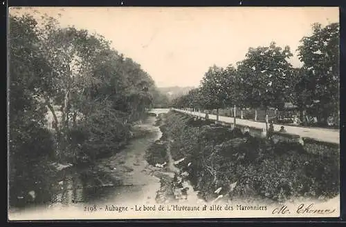 AK Aubagne, Le bord de l`Huveaune et allée des Marronniers