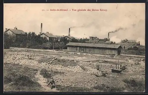 AK Salin-de-Giraud, Vue générale des Usines Solvay