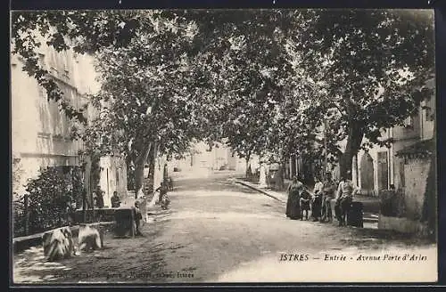 AK Istres, Entrée, Avenue Porte d`Arles mit schattigen Bäumen und Passanten