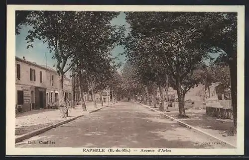 AK Raphèle, Avenue d`Arles avec arbres alignés et bâtiments adjacents