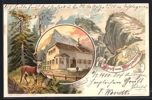 Lithographie Watzmannhaus, Berghütte mit Gipfelblick