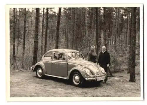 Fotografie Auto Volkswagen VW Käfer, Kennzeichen Hamburg