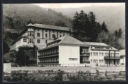 AK Türnitz /N.-Oe., Freiland, Blick zum Erholungsheim