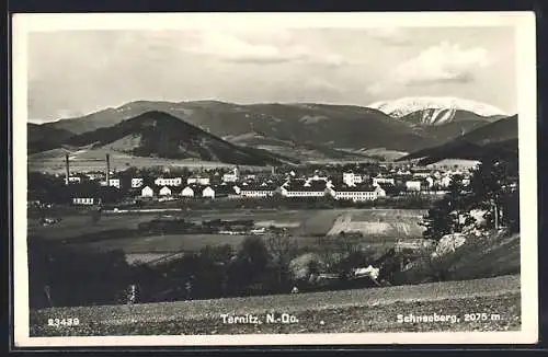 AK Ternitz /N.-Do., Teilansicht mit Bergen