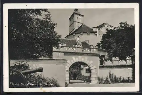 AK Loosdorf, Schloss Schallaburg