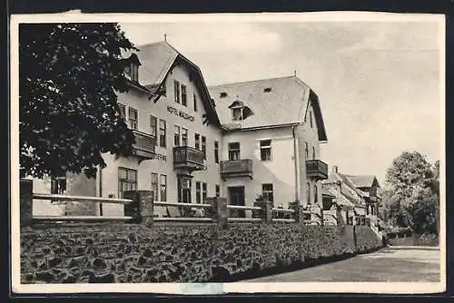 AK St. Corona am Wechsel, Hotel-Pension Waldhof mit Strasse