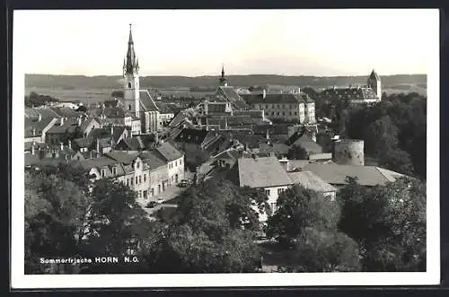 AK Horn, Totalansicht aus der Vogelschau