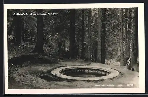 AK Moldauquelle, Sumava, U pramene Vltavy