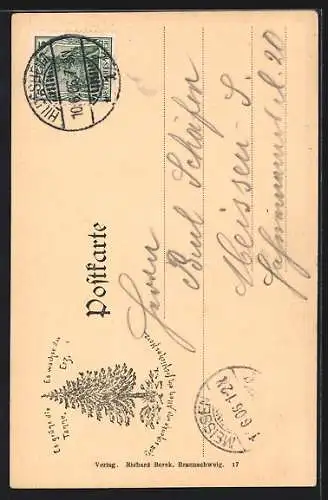 AK Goslar, Eingang in die Münzstrasse