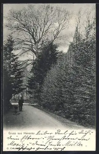 AK Hanerau, Spaziergänger mit Hund auf einem Waldweg