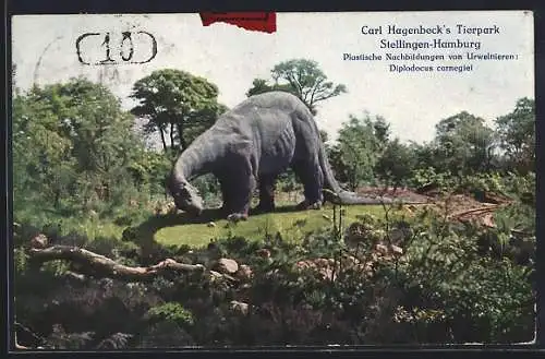 AK Hamburg-Stellingen, Carl Hagenbecks Tierpark, Plastische Nachbildungen von Urwelttieren: Diplodocus carnegiei