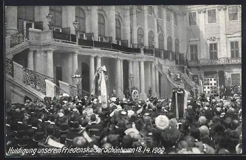 AK Schönbrunn, Huldigung dem Friedenskaiser 1909