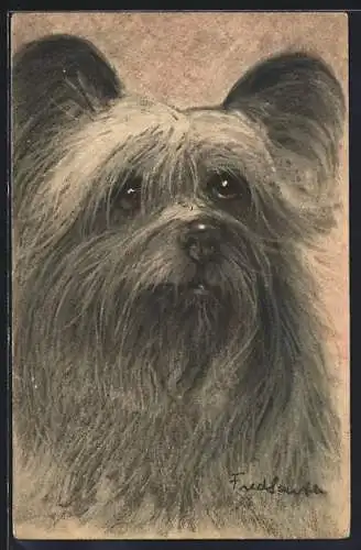 Künstler-AK Skye Terrier mit treuem Blick