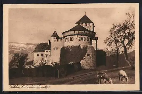 AK Vaduz, Schloss Vaduz mit weidenden Kälbern