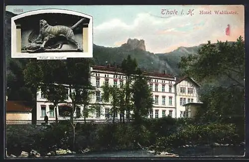 AK Thale, Blick zum Hotel Waldkater, Relief am Hotel