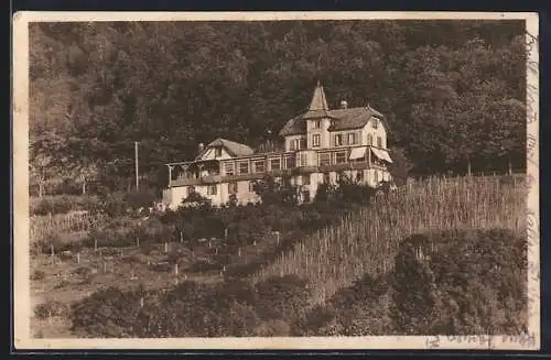 AK Freiburg i. B., Schlossbergrestauratn Dattler