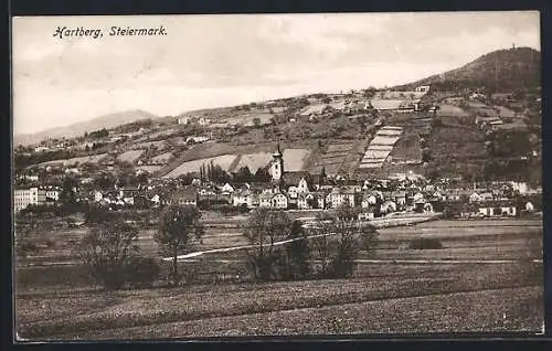 AK Hartberg, Panorama