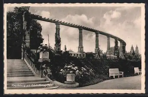 AK Magdeburg, Gartenanlagen am Adolf-Mittag-See