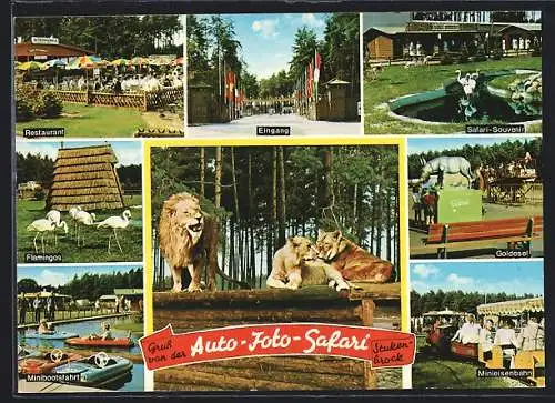 AK Stukenbrock in der Senne, Auto-Foto-Safaripark mit Restaurant, Minieisenbahn und Goldesel