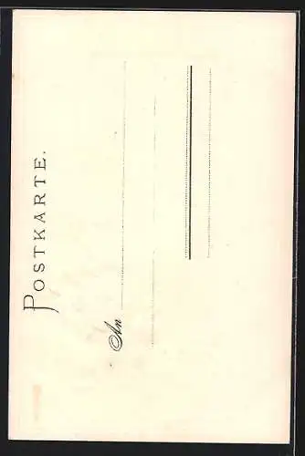 Lithographie Spinne am Abend, glückbringend und labend!