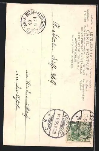 Präge-AK Geburtstagsgruss, Kinder mit Blumensträussen