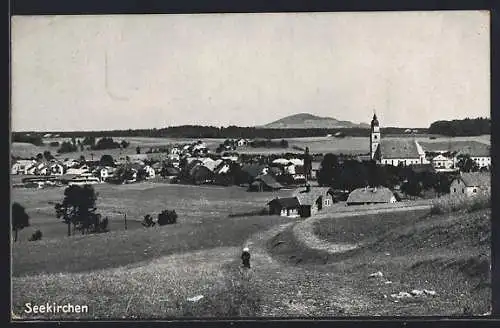 AK Seekirchen, Blick von der Bergwiese auf den Ort