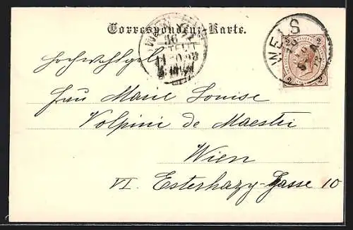 AK Wels, Ortsansicht mit Brücke