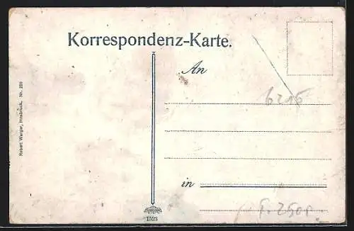 AK Pertisau am Achensee, Fürstenhaus mit Dampfer