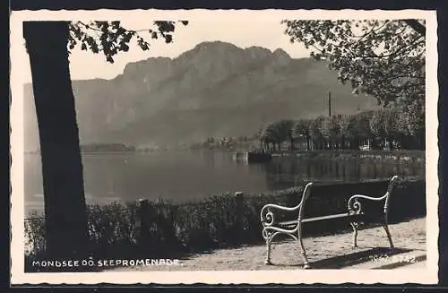 AK Mondsee /O. Ö., Seepromenade