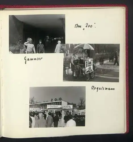 2 Fotoalben mit 237 Fotografien, Ansicht West-Berlin, 1964, Zentralflughafen Tempelhof, Olympiastadion, Kudamm, Bhf Zoo