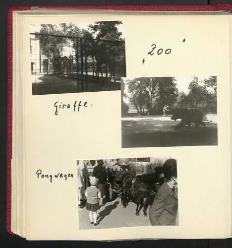 2 Fotoalben mit 237 Fotografien, Ansicht West-Berlin, 1964, Zentralflughafen Tempelhof, Olympiastadion, Kudamm, Bhf Zoo