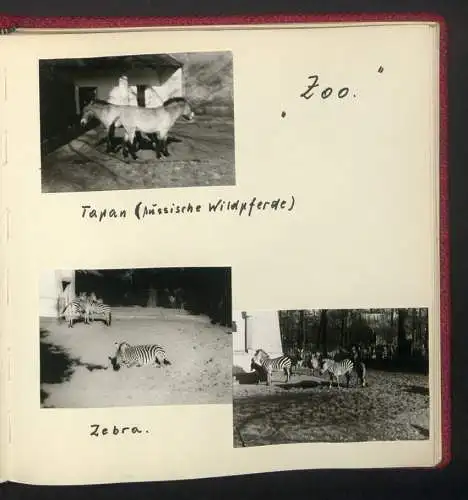 2 Fotoalben mit 237 Fotografien, Ansicht West-Berlin, 1964, Zentralflughafen Tempelhof, Olympiastadion, Kudamm, Bhf Zoo