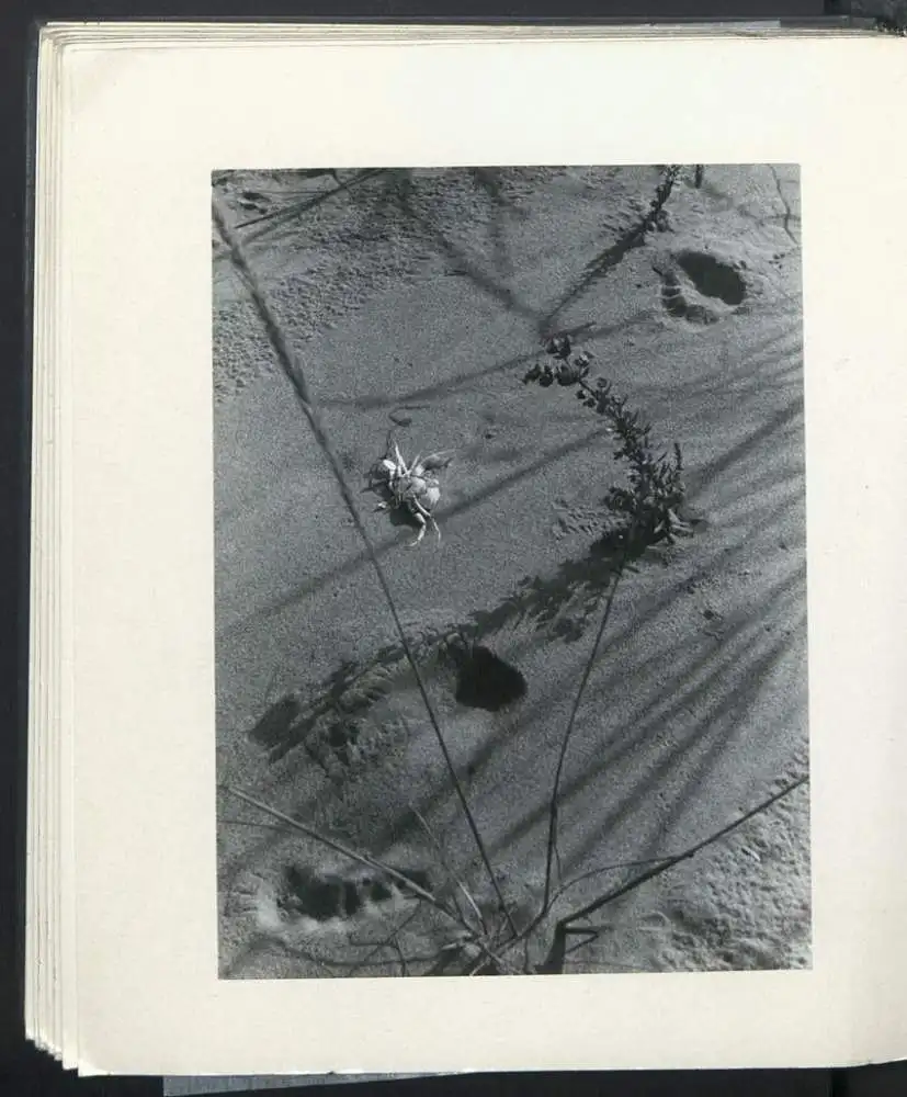 Fotoalbum mit 148 Fotografien, NSU Fox, Klaus Hermmans, Studienreise nach Italien für die Zeitschrift Der Fährmann 28