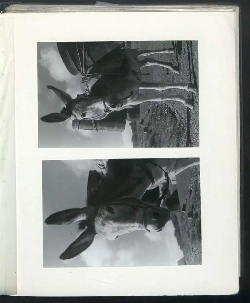 Fotoalbum mit 148 Fotografien, NSU Fox, Klaus Hermmans, Studienreise nach Italien für die Zeitschrift Der Fährmann 31