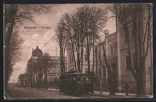 AK Belgrad, Strassenbahn auf der König Milan-Strasse