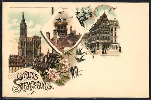 Lithographie Strassburg, Haus am Domplatz, Storche im Nest