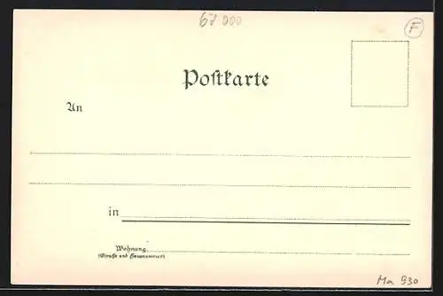 Lithographie Strassburg, Haus am Domplatz, Storche im Nest