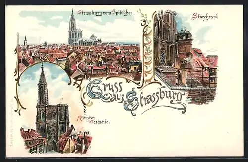 Lithographie Strassburg, Blick vom Spitalthor, Storchnest, Münster-Westseite