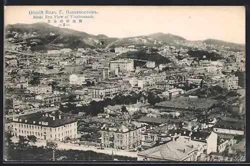 AK Vladivostock, Birds Eye view, Ortsansicht