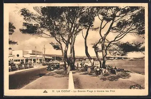 AK La Ciotat, La Grande Plage à travers les Pins