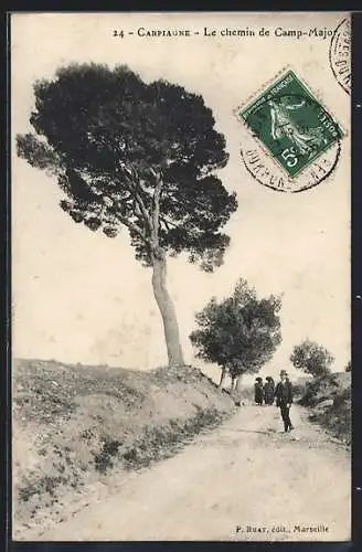 AK Carpiagne, Le chemin de Camp-Major avec promeneurs et arbres majestueux