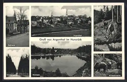 AK Argenthal im Hunsrück, Rathaus, Waldsee, Waldeingang und Rotwild