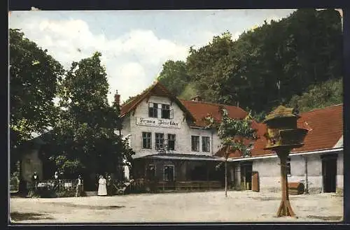 AK Weidlingbach, Partie am Gasthaus