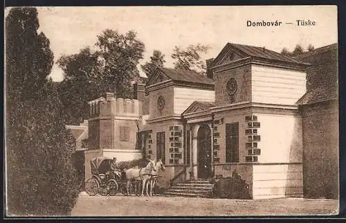 AK Dombovár, Tüske