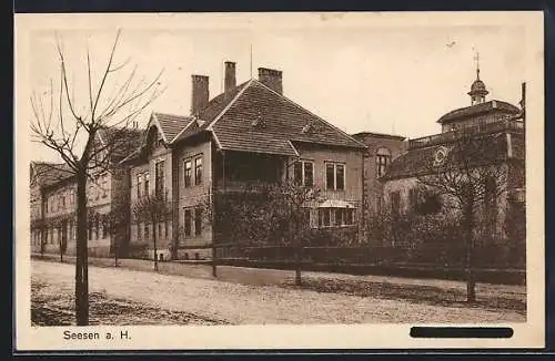 AK Seesen a. H., Jacobsen-Schule und Synagoge