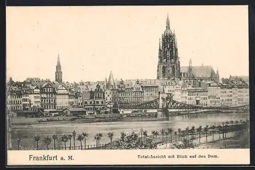 AK Alt-Frankfurt, Totalansicht mit Blick auf den Dom
