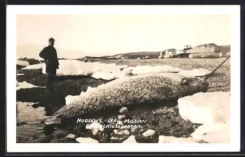 AK Churchill /Man., Hudson`s Bay Mission, hunted narwhal