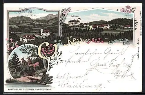 Lithographie Kranichberg, Totalansicht, Schloss und Schule, Wild im Wald